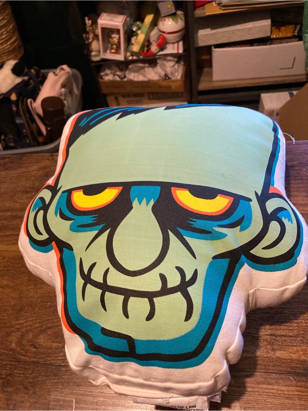 Hyde & Eek throw pillow